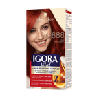 Tinte Igora Vital 6-888 Rubi Apasionado 2 Tubos
